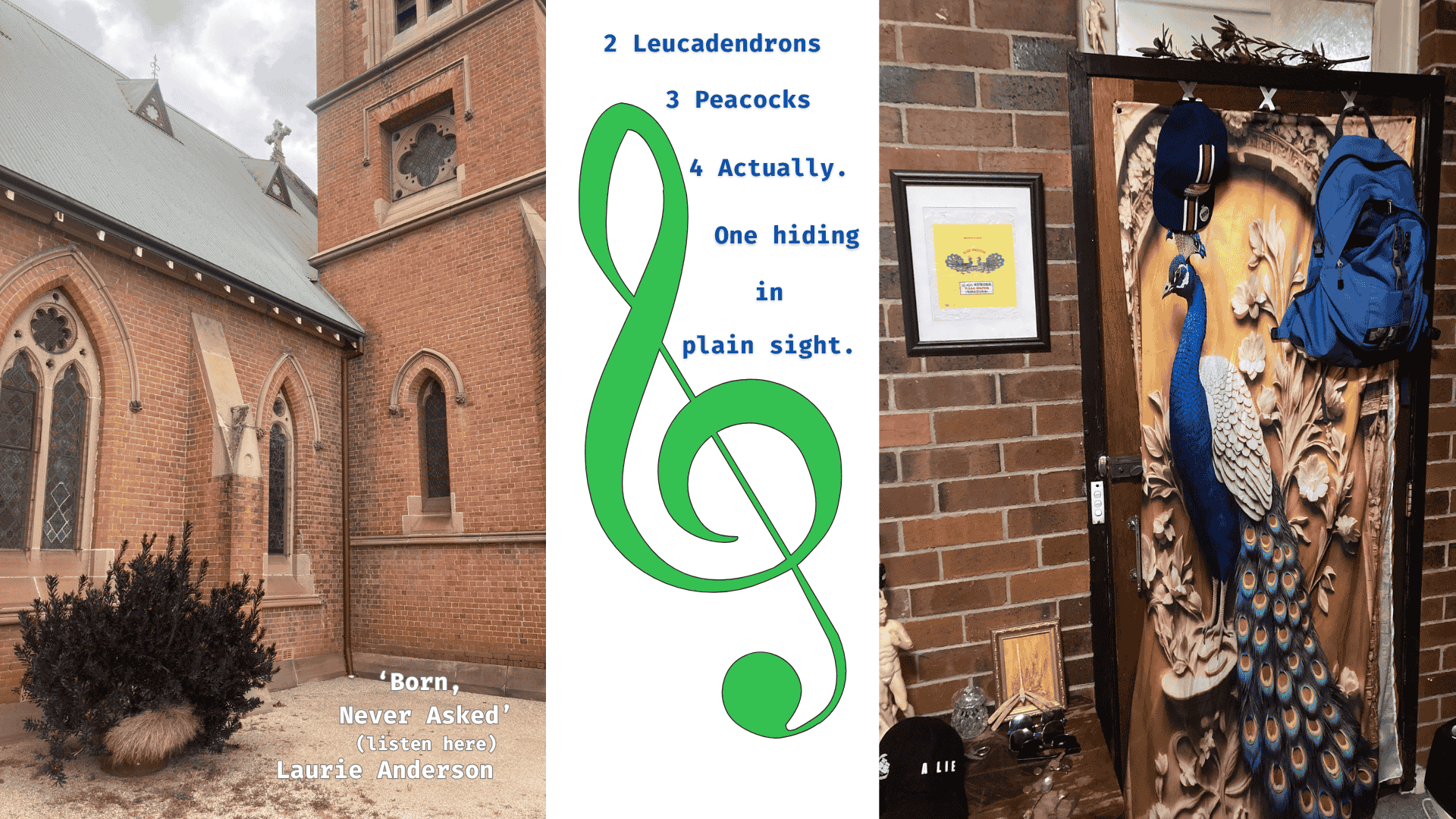 Birds and Flowers of note.