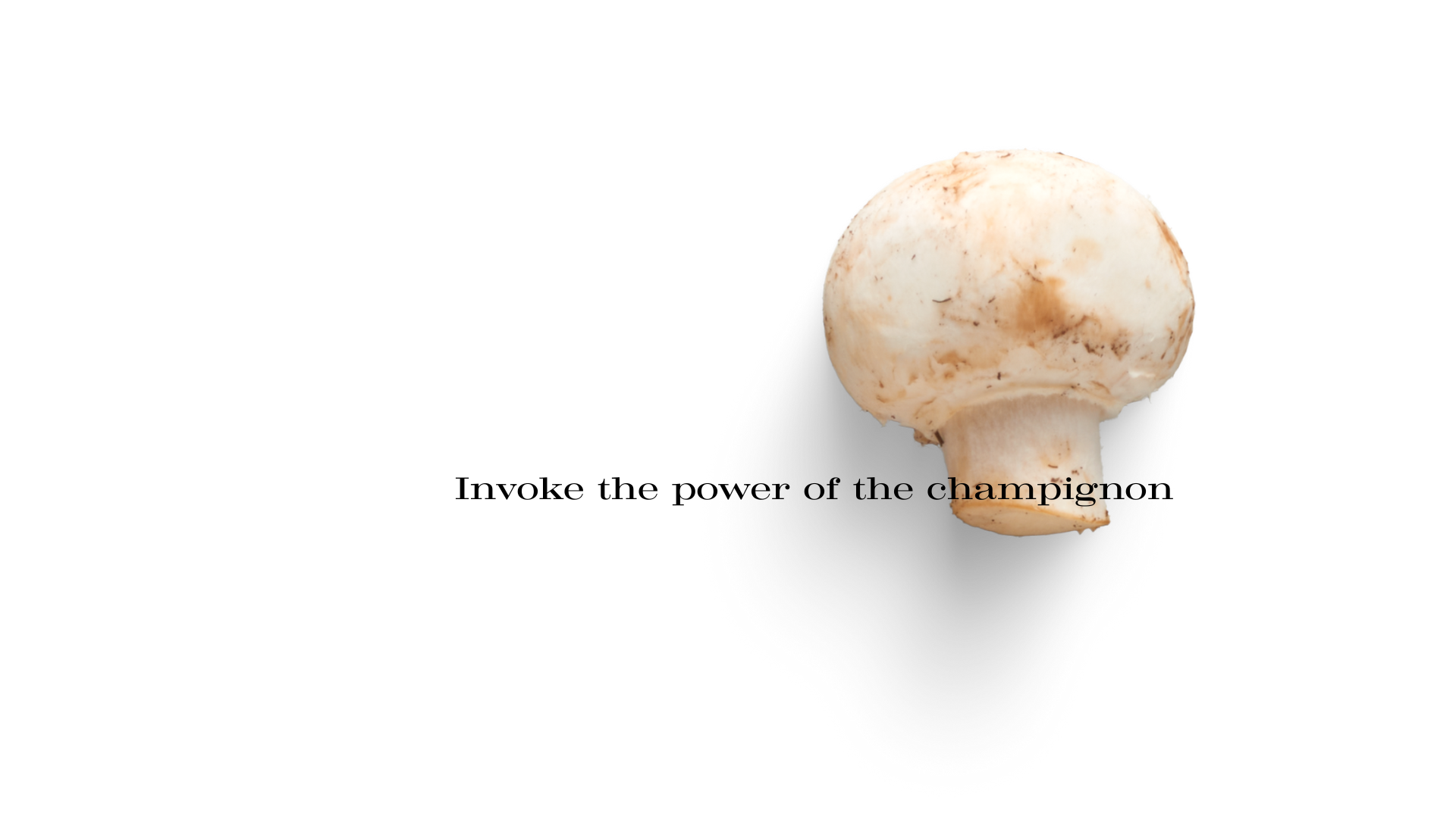  champignon, champagne, champion