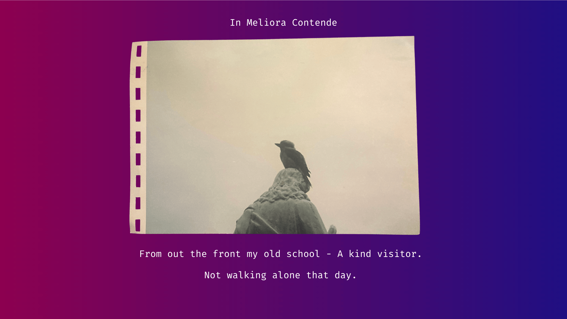 Kookaburra on a statue