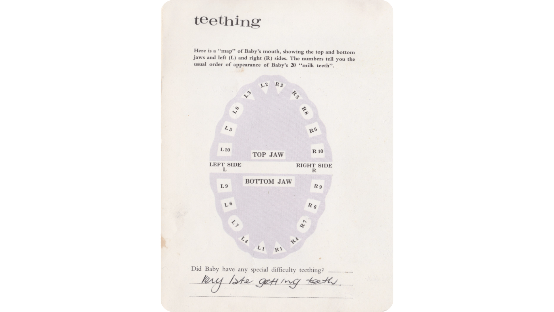 Teething Record Baby Book